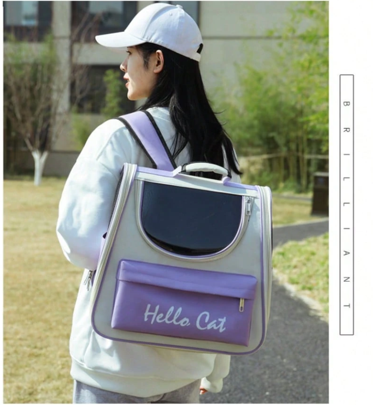 AirFlow XL Pet Backpack – Airy Mesh Cat Carrier, Foldable Oxford Cloth